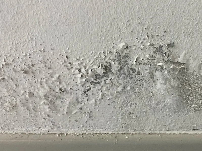 detection de fuite d’eau toit morlaix